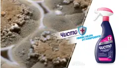Чисто за мухъл 500 ml - Дезинфектант против мухъл