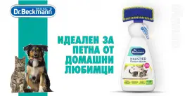Dr. Beckmann Haustier Flecken-Bürste за петна от домашни любимци с четка 650 ml