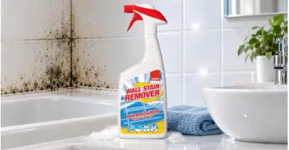 Sano Wall Stain Remover избелваща пяна против мухъл и плесен 750 ml